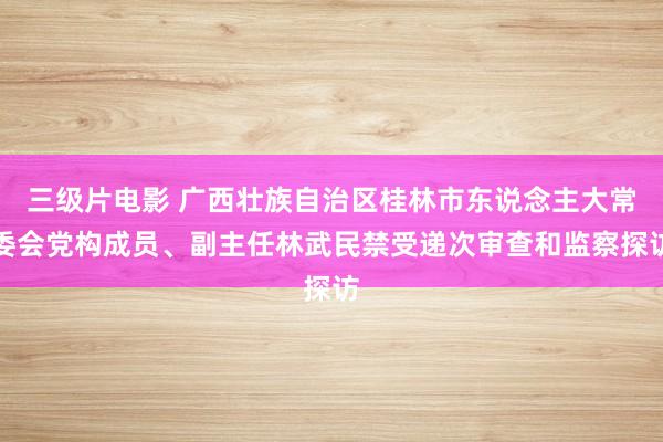 三级片电影 广西壮族自治区桂林市东说念主大常委会党构成员、副主任林武民禁受递次审查和监察探访