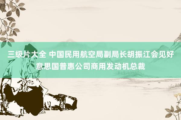 三级片大全 中国民用航空局副局长胡振江会见好意思国普惠公司商用发动机总裁