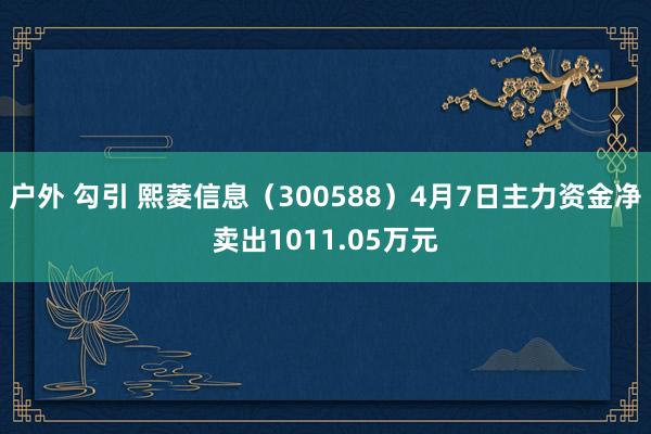 户外 勾引 熙菱信息（300588）4月7日主力资金净卖出1011.05万元