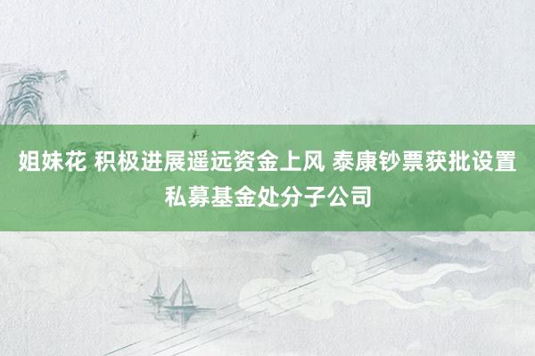 姐妹花 积极进展遥远资金上风 泰康钞票获批设置私募基金处分子公司