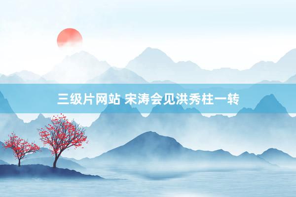 三级片网站 宋涛会见洪秀柱一转