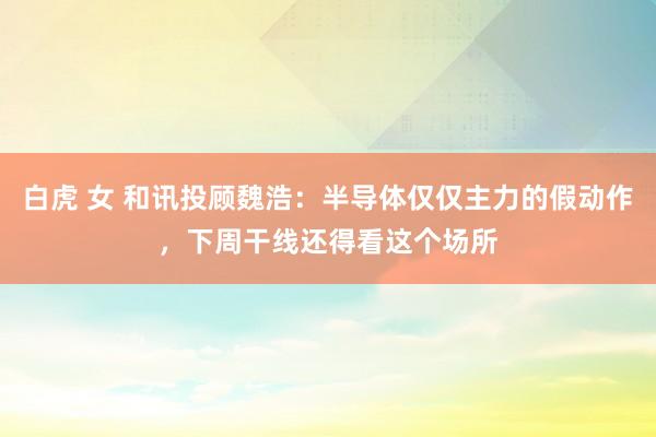 白虎 女 和讯投顾魏浩：半导体仅仅主力的假动作，下周干线还得看这个场所