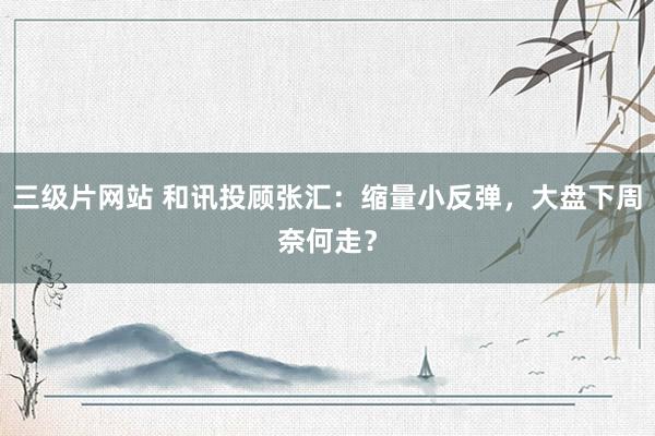 三级片网站 和讯投顾张汇：缩量小反弹，大盘下周奈何走？