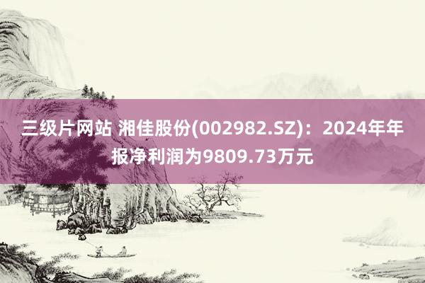 三级片网站 湘佳股份(002982.SZ)：2024年年报净利润为9809.73万元