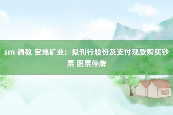 sm 调教 宝地矿业：拟刊行股份及支付现款购买钞票 股票停牌