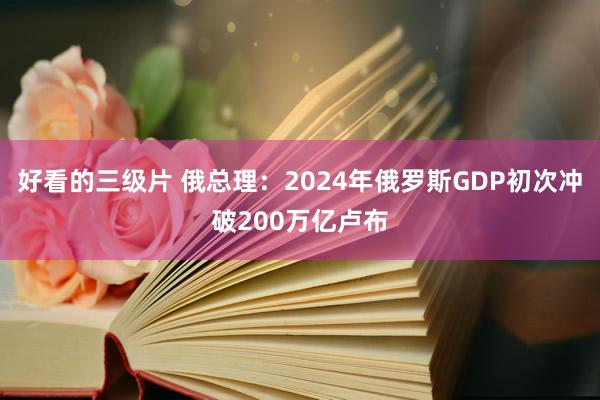 好看的三级片 俄总理：2024年俄罗斯GDP初次冲破200万亿卢布