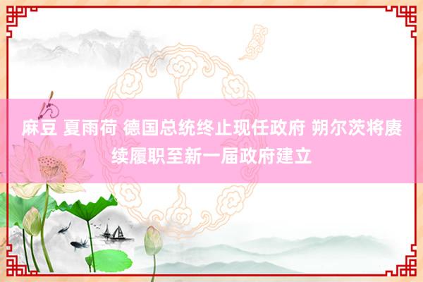 麻豆 夏雨荷 德国总统终止现任政府 朔尔茨将赓续履职至新一届政府建立