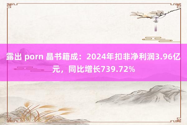 露出 porn 晶书籍成：2024年扣非净利润3.96亿元，同比增长739.72%