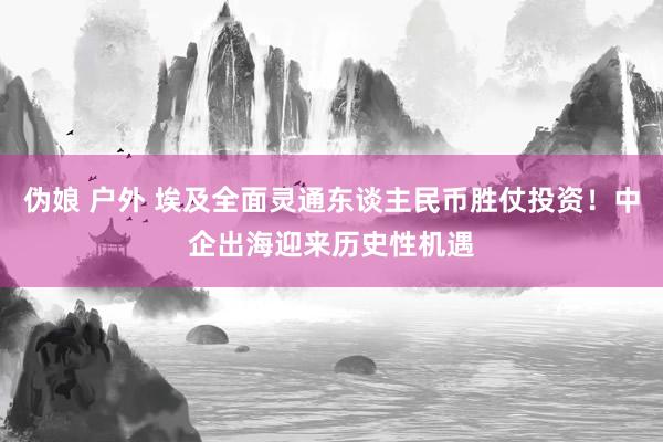 伪娘 户外 埃及全面灵通东谈主民币胜仗投资！中企出海迎来历史性机遇