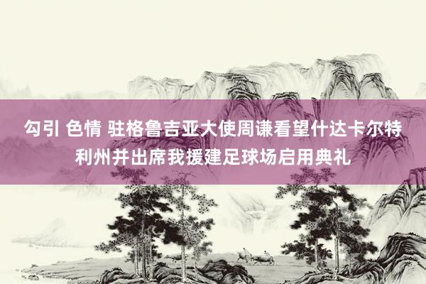 勾引 色情 驻格鲁吉亚大使周谦看望什达卡尔特利州并出席我援建足球场启用典礼