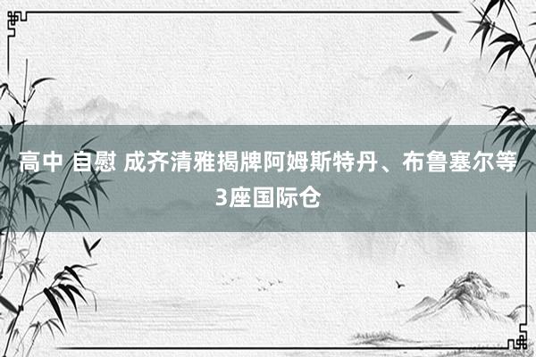 高中 自慰 成齐清雅揭牌阿姆斯特丹、布鲁塞尔等3座国际仓